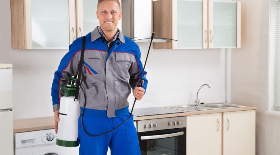 Professional german roach extermination harrisonburg va services in Harrisonburg